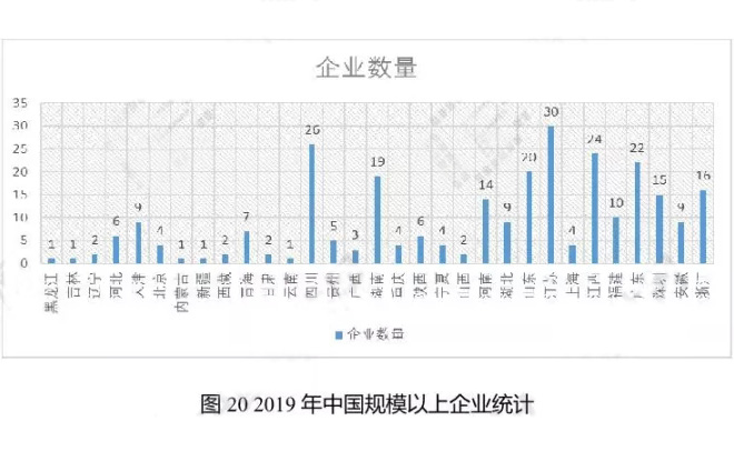 2019年中國規(guī)模以上企業(yè)統(tǒng)計